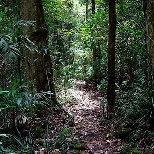 Lyrebird Retreat Springbrook